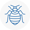 Bed Bug Extermination In N1