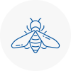 Bee Nest Removal N1