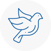 Bird Prevention N1