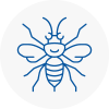N1 Hornet Nest Removals