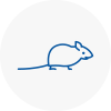 Mice Exterminators In N1