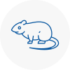 Rat Control N1