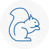 N1 Rodent Removals