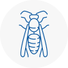 N1 Wasp Nest Removal